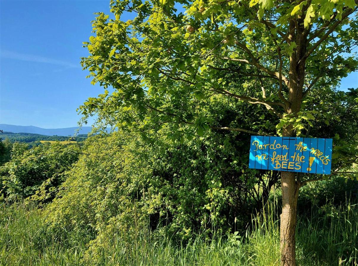 Alabajka Luxuszelt Wlen